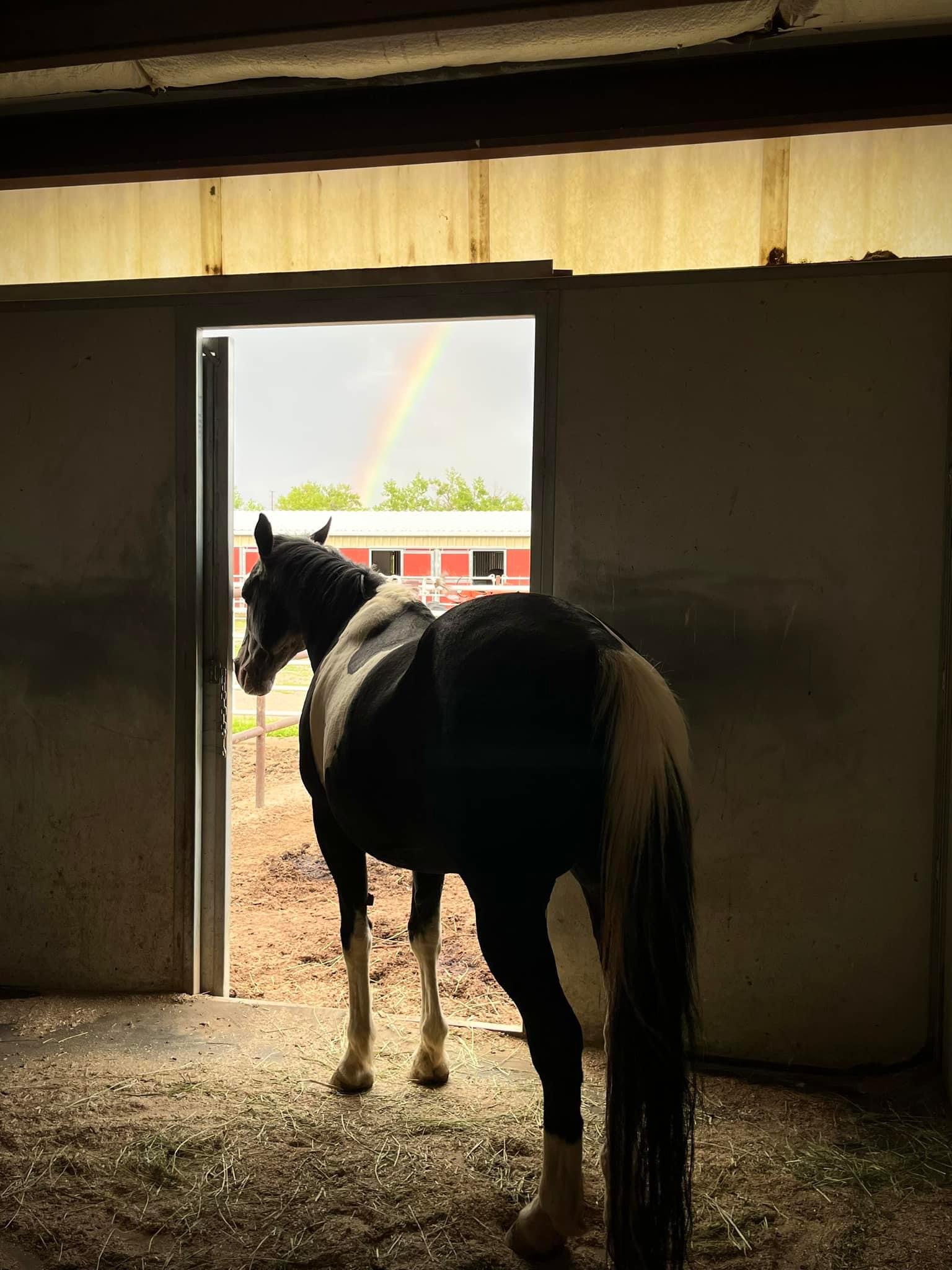 Stall Boarding